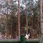 U Kamyka Апартаменты