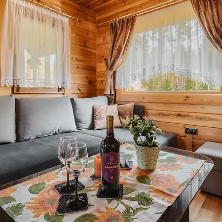 Apartamento U Kamyka *