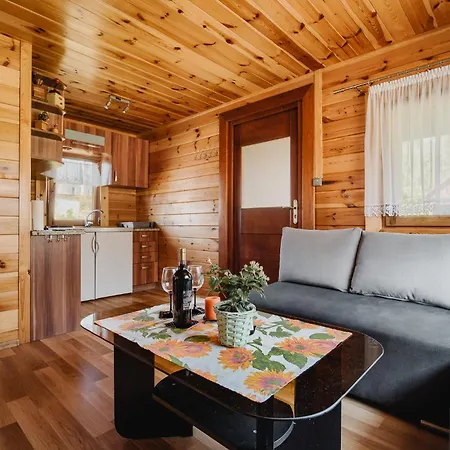 U Kamyka Apartman
