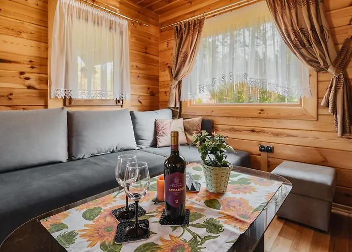 Apartament U Kamyka *